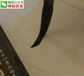 欧体字的转折怎么写?