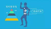 基础代谢不好意思你瘦不下来不是因为代谢慢这些才是重点