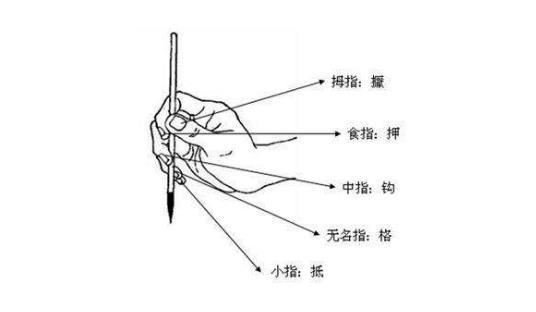 标准的毛笔握笔方法和握笔姿势附毛笔的握笔方法图解