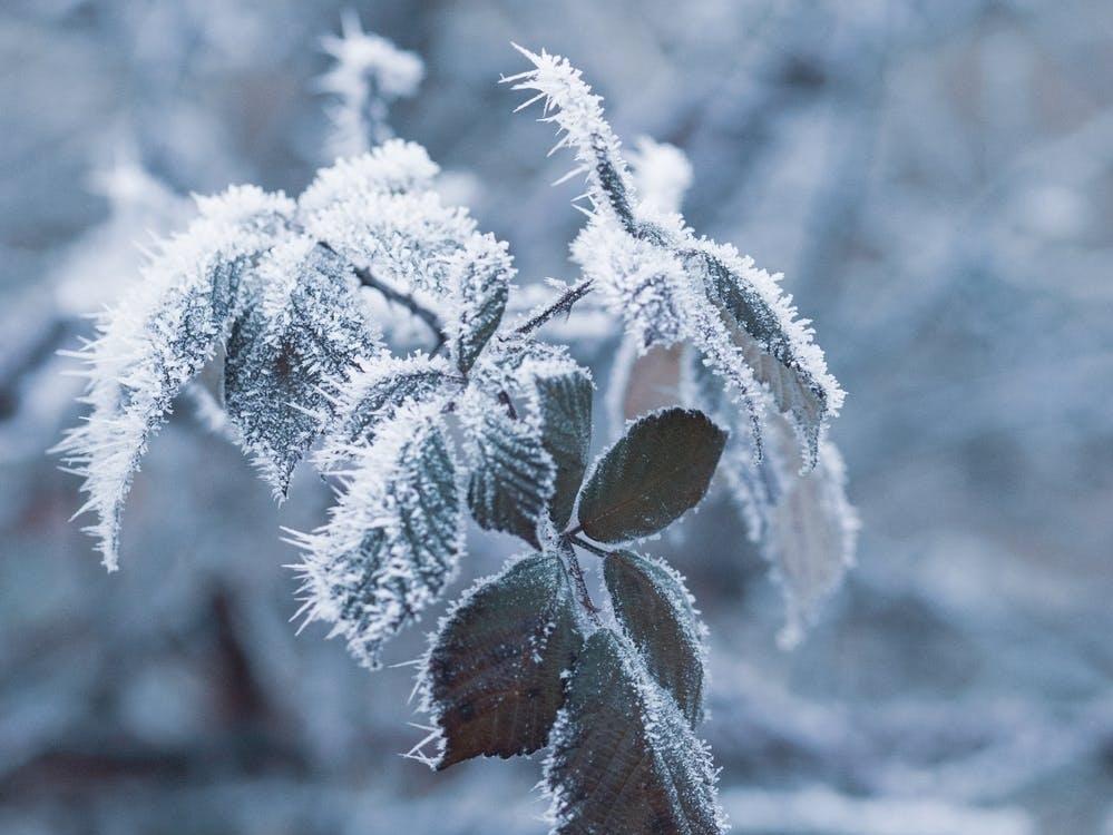 有没有适合初雪发的文案