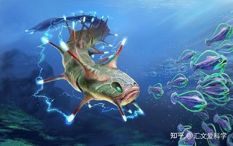 经过科学家的研究发现,原来电鳐,电鲶和电鳗等电鱼的发电原理其实都