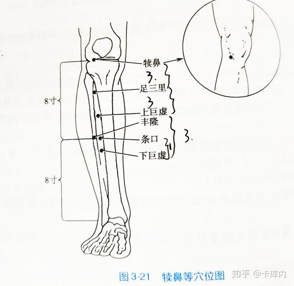 一,足阳明胃经