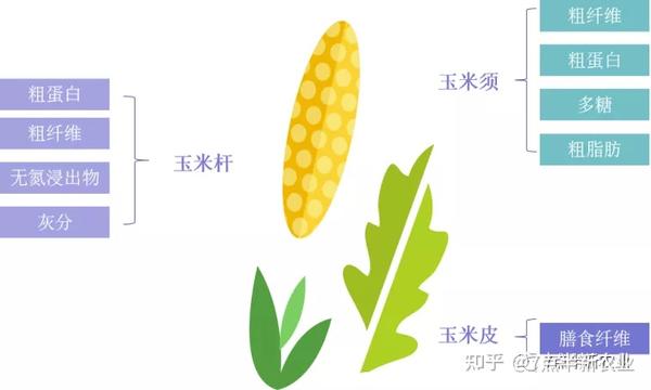 玉米不同部分的成分情况