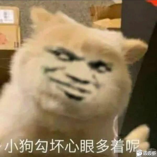 【表情包】猛男专用表情包图