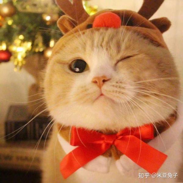 有哪些好看的情侣头像?