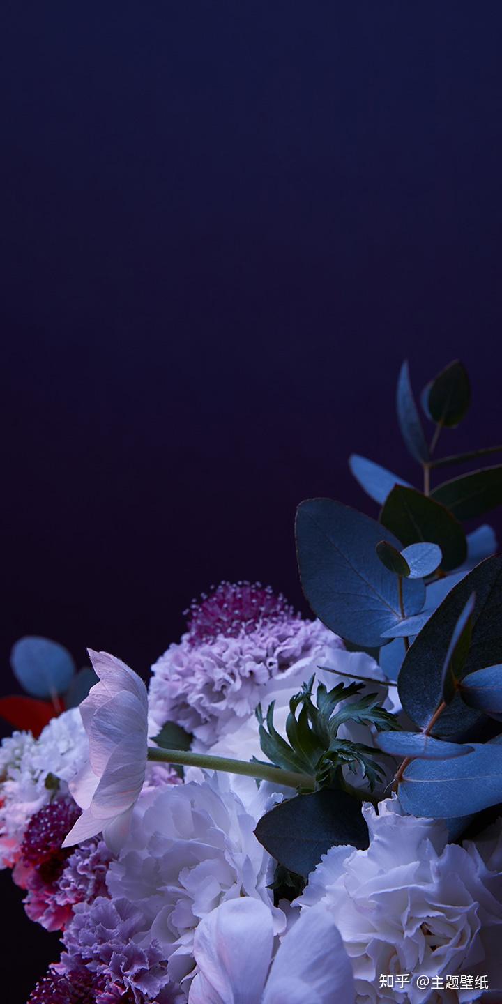 主题壁纸,花海高清手机壁纸