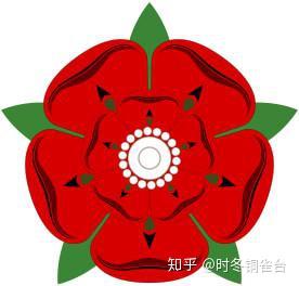 约克家族:白蔷薇rosa ×alba