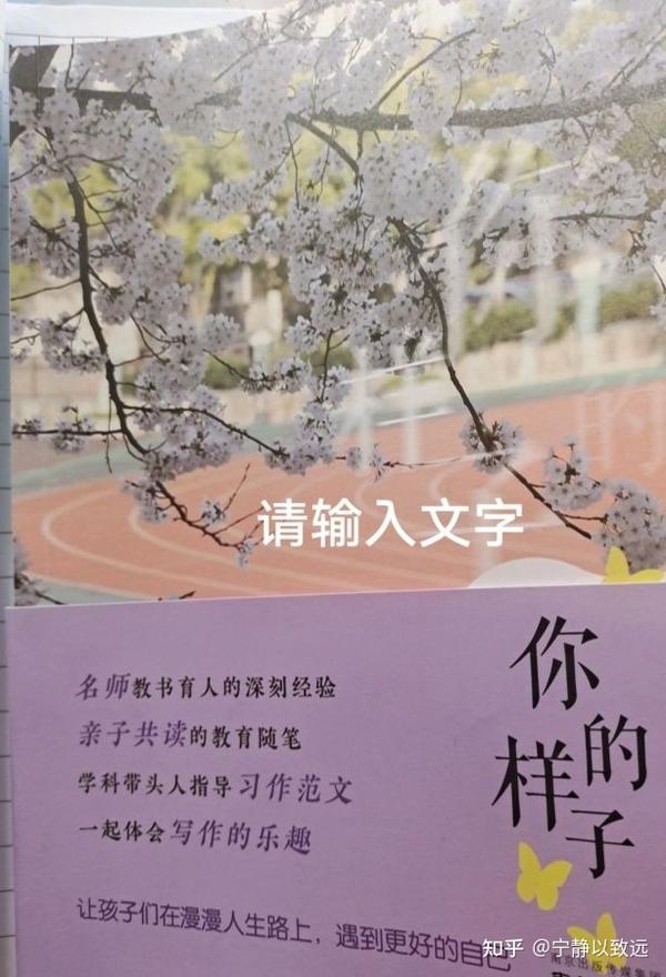 《你的样子》书评《幸福,在一名小学语文老师眼中,就是记住最美好的