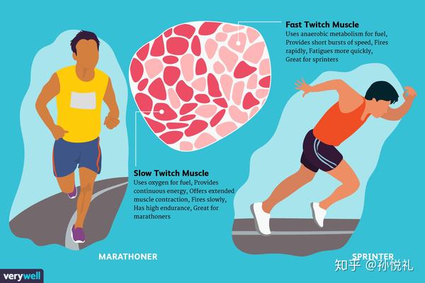 运动健身a5分钟塑身伸展运动_面对疫情过度恐慌的表现_健身运动过度表现