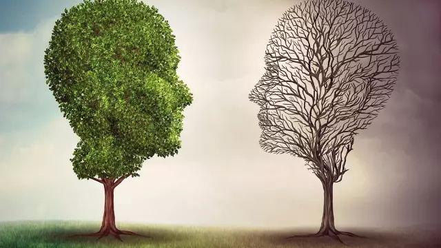 讨论过程中,我突然走神儿了,满脑子回荡的只有一句:谁是我的客户?