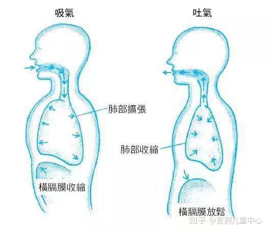 播音主持中应注意的发声呼吸控制要领