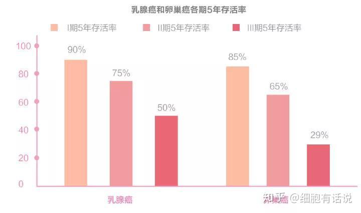 卵巢上皮癌死亡率占各类妇科肿瘤的首位,严重威胁女性的生命健康.