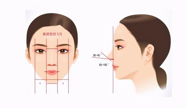 山根高透光为什么你的鼻子看上去就很假