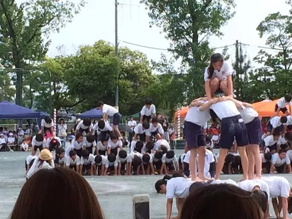 日本学生"叠罗汉"屡出事故,背后是日本人对集体主义的