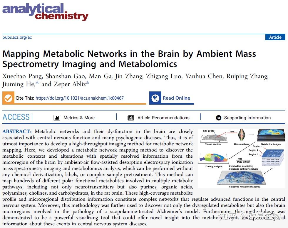 再帕尔·阿不力孜,贺玖明团队空间代谢组学绘制大鼠脑