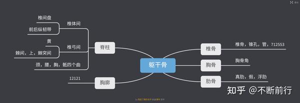 人解骨和骨连结思维导图