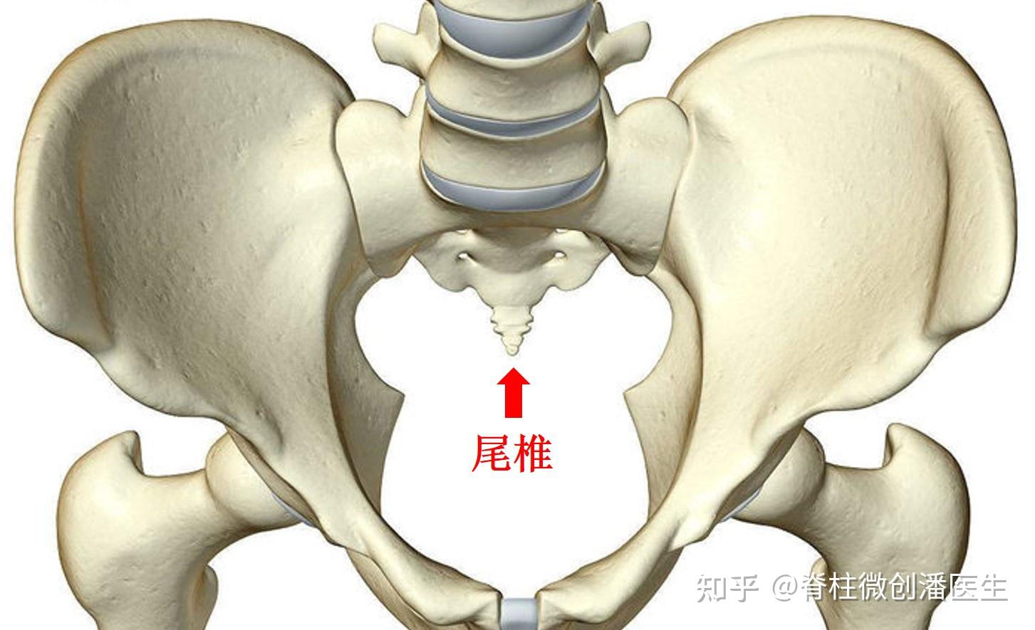 尾椎痛是怎么回事