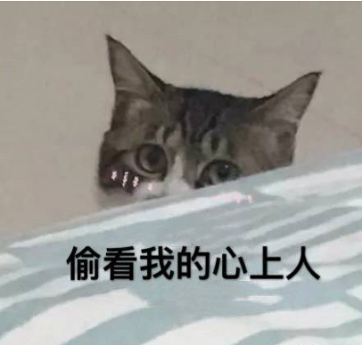 有哪些可以哄女朋友的表情包?