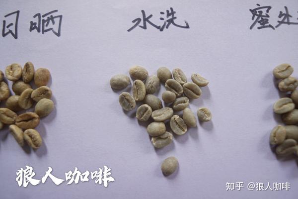 狼人咖啡烘焙经验分享 | 传统日晒与水洗的咖啡豆在烘焙上有什么不同?