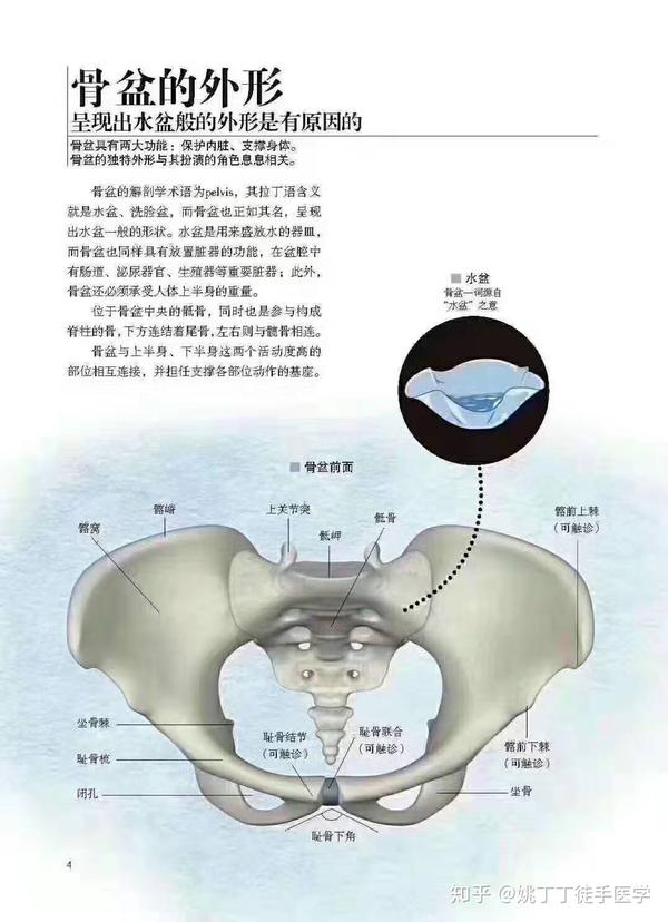 深度解析徒手盆骨修复技术告诉你徒手产后修复是否有效