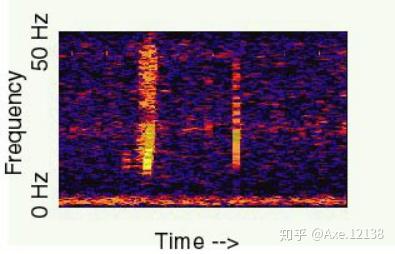 【神秘动物学研究】海洋怪声bloop——未知生物还是自然现象?