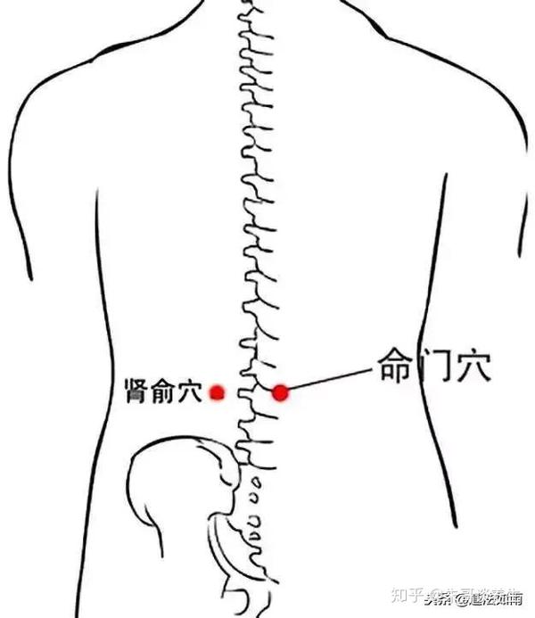 位置:命门穴位于第二,三腰椎棘突间.