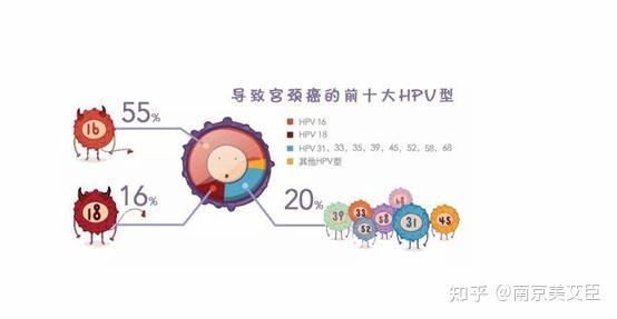 hpv认知及其预防