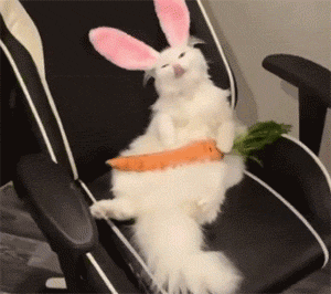 要发了  发了  发   了 已经过去这么多天都没有人欣赏我的表情包吗