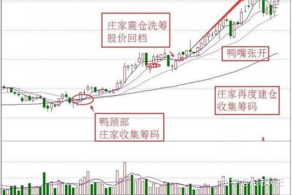 千金难买老鸭头——"鸭颈买,鸭头减仓,老鸭头"k线牛股