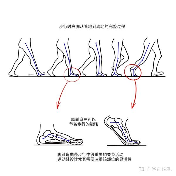 怎样走路才健康?每天一万步可以吗?