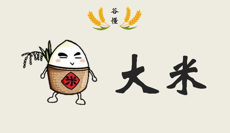 大米选购知多少