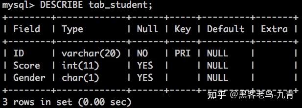 如何高效地在MySQL数据库中创建支持中文的数据库和表结构？