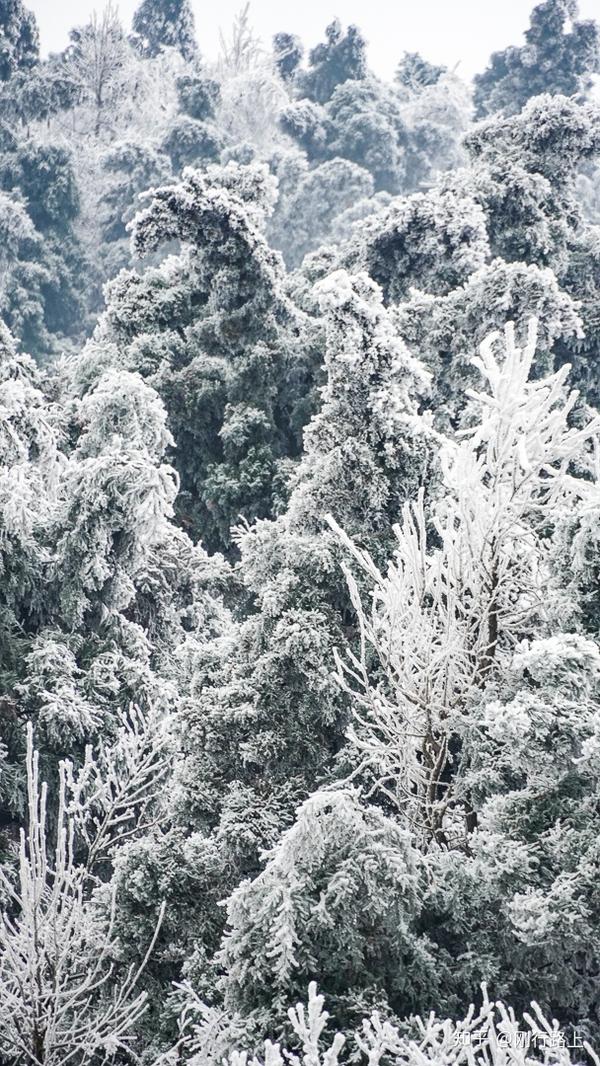 南岳衡山的雾凇璀璨夺目每年都有这些攻略不可错过