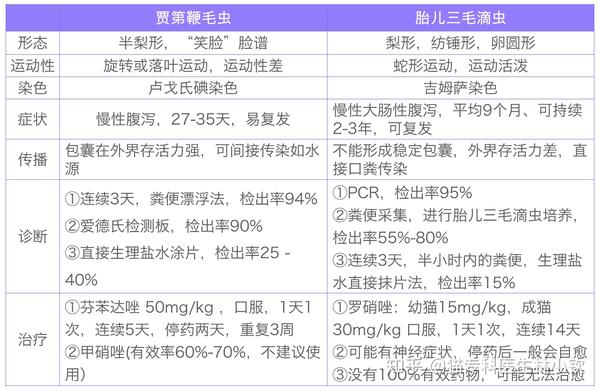 如果猫咪有潜在的免疫抑制疾病(即猫白血病与猫艾滋病),此时感染贾第