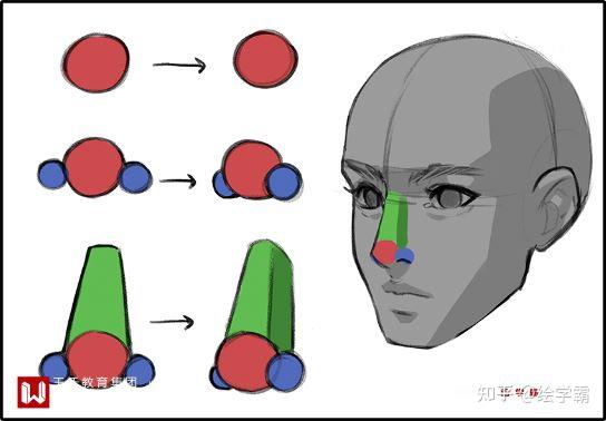 动漫人物正面鼻子画法