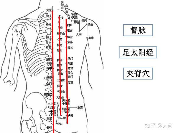 到底是上捏脊还是下捏脊?关键看你想要调理督脉还是膀胱经