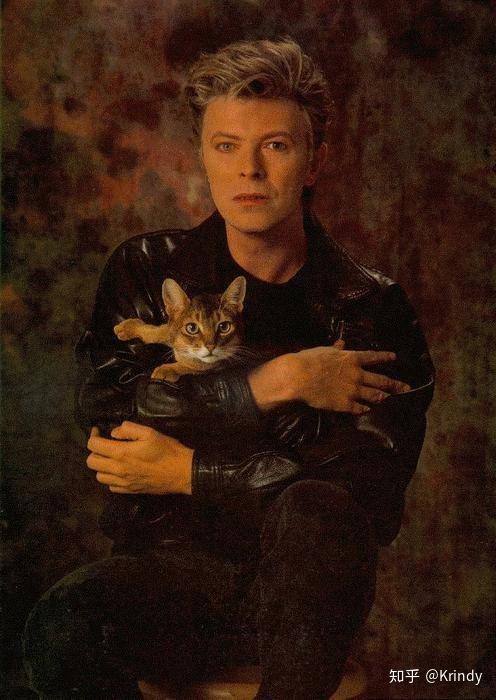 david bowie  (华丽摇滚妖男)