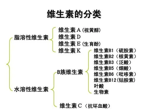 维生素分类,根据公开资料整理