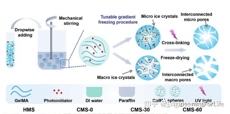 水凝胶微球制备有哪些打开方式 知乎