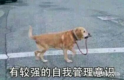 大概会生不如死吧