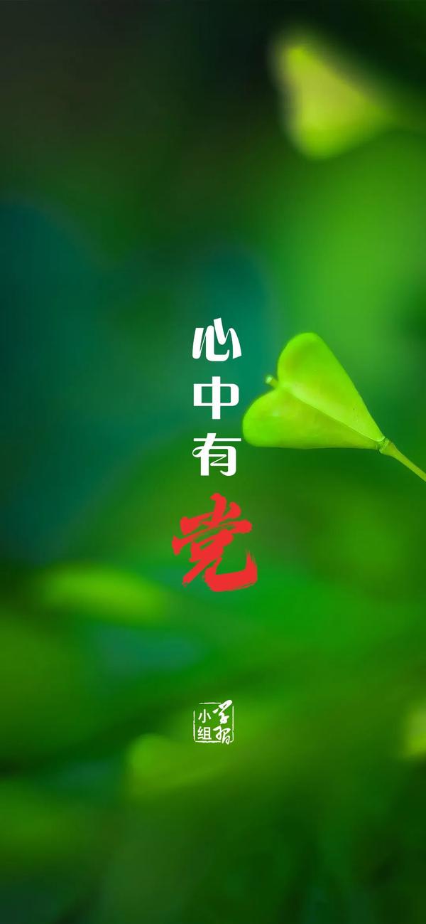 11.心中有党