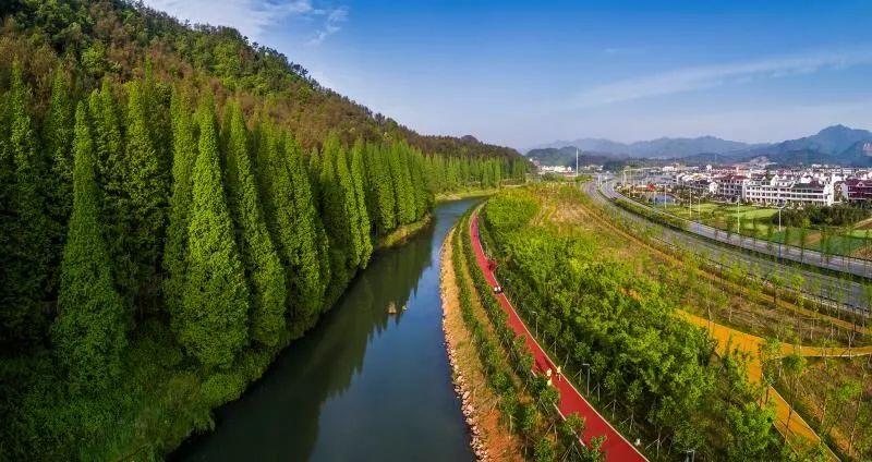 探索水生态修复新路径1浦江县浦阳江生态缓冲带建设的那些事儿