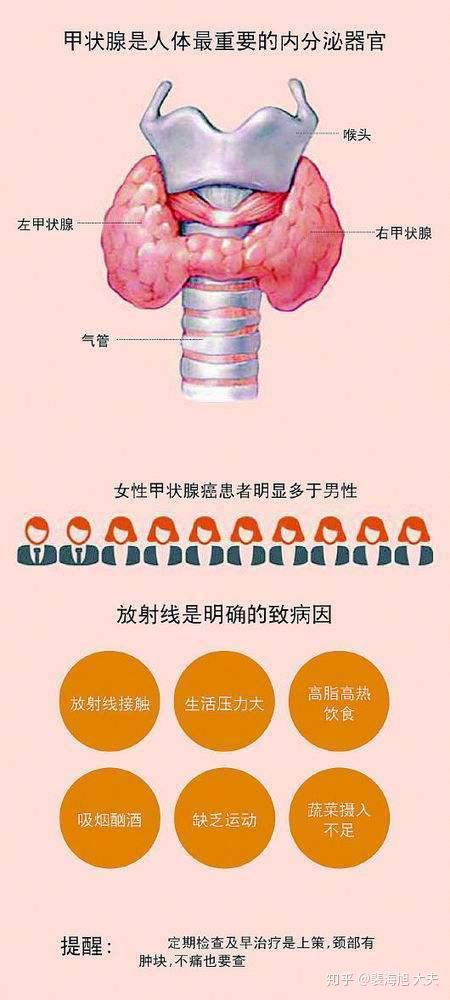 "甲状腺"对人体有什么作用?疾病分类有哪些?一次给你讲清楚!