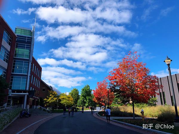 在康涅狄格大学就读是种什么体验?