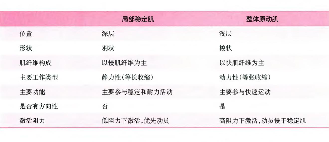 整体原动肌主要是浅层肌肉,这些肌肉比较大,长,收缩时产生躯干动作,如