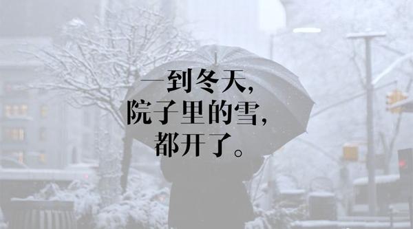 小雪文案来了 知乎