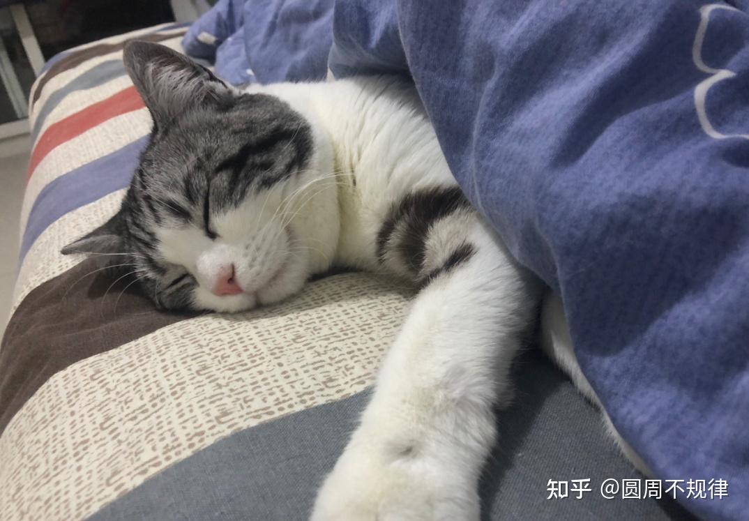 1,睡枕头边,被窝里