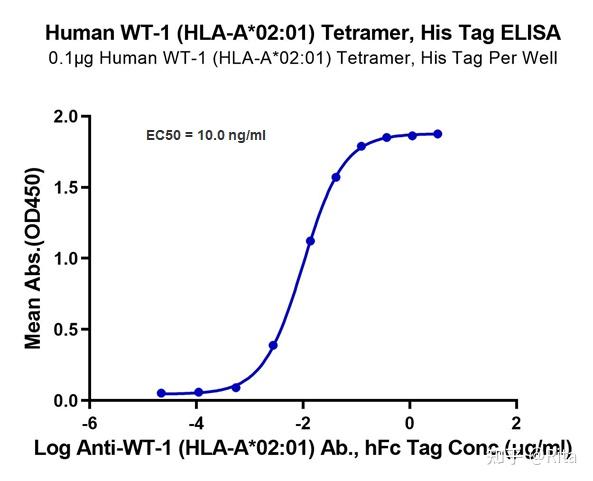 human wt-1(hla-a*02:01)  complex tetramer与其抗体的结合实验