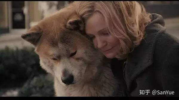 忠犬八公的故事电影的一些想法