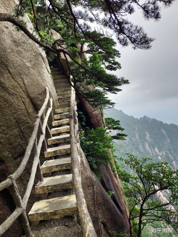 有人曾从泰山,黄山,华山这些地方意外掉下山崖吗?如果